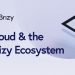 Cloud & the Brizy Ecosystem | CLOUD 2020