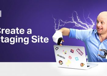 Setting up a Staging Environment for WordPress Websites – Monday Masterclass
