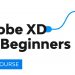 Adobe XD for Beginners | FREE COURSE