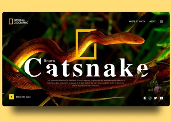 Free Adobe XD National Geographic Template